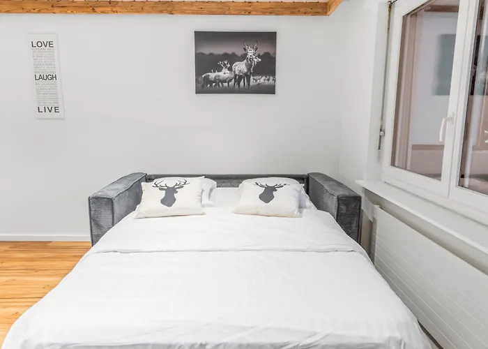 Apartmán Elegant Au Coeur Des Alpes *